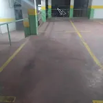 Palmeras *