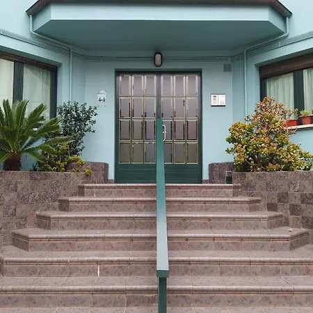 Palmeras *