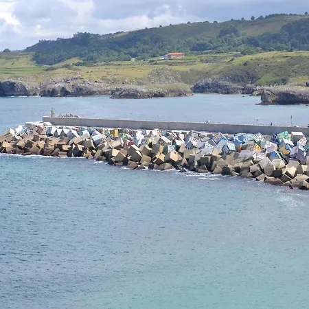 Palmeras *